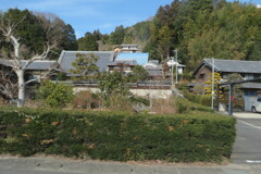 IMG_1172 (2)