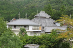 IMG_0276 (1)