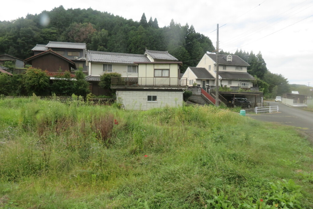 IMG_0279 (3)
