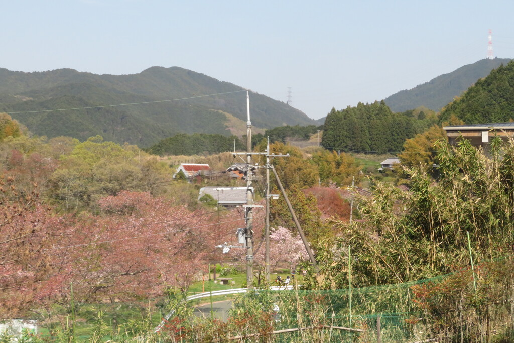 IMG_4013 (4)