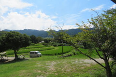 田圃