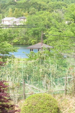 日本