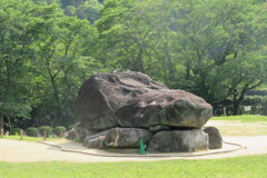 IMG_4970 (9)