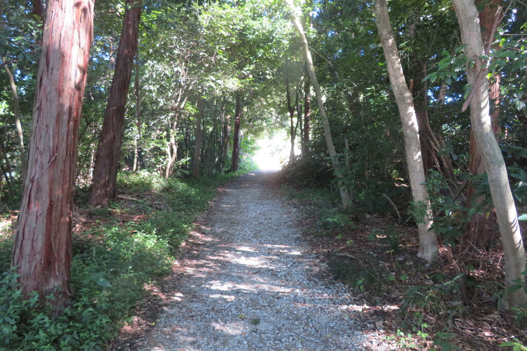 道の駅　　iいにca