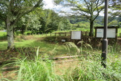 Ikaishki