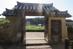 IMG_4595 (3)
