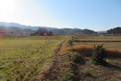 シルクロードえつつく