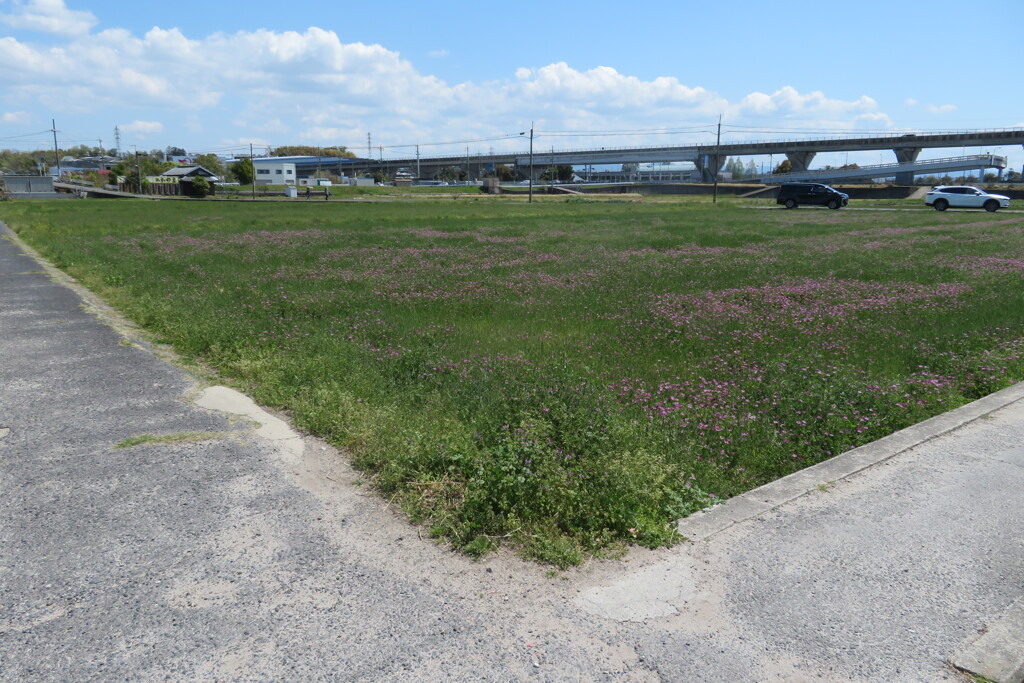 田圃