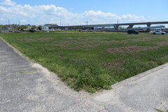 田圃