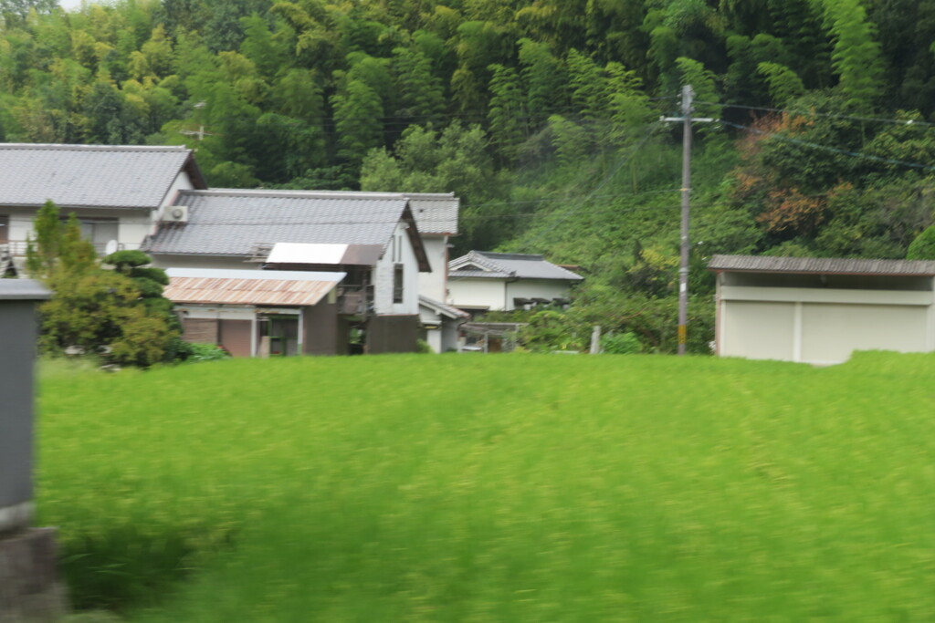 田園