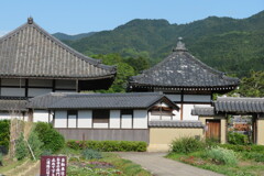 IMG_4628 (6)