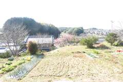 明日香村駅近く