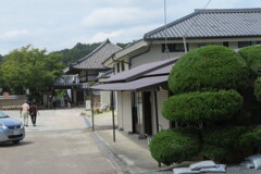 IMG_0073 (3)