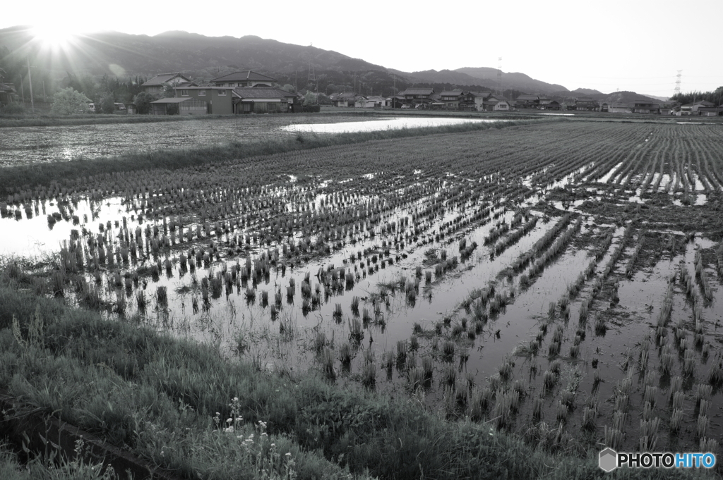 田植えの前