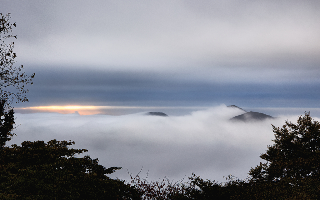 明智平の雲海