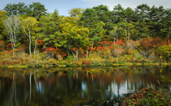 一沼の紅葉