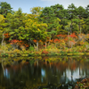 一沼の紅葉
