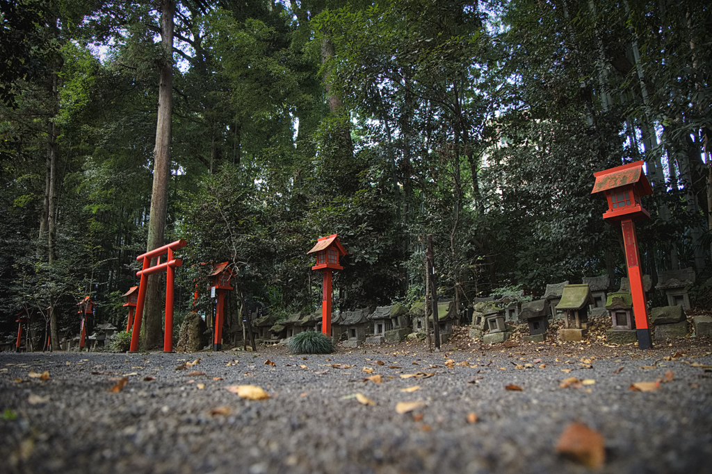 参道沿いにて