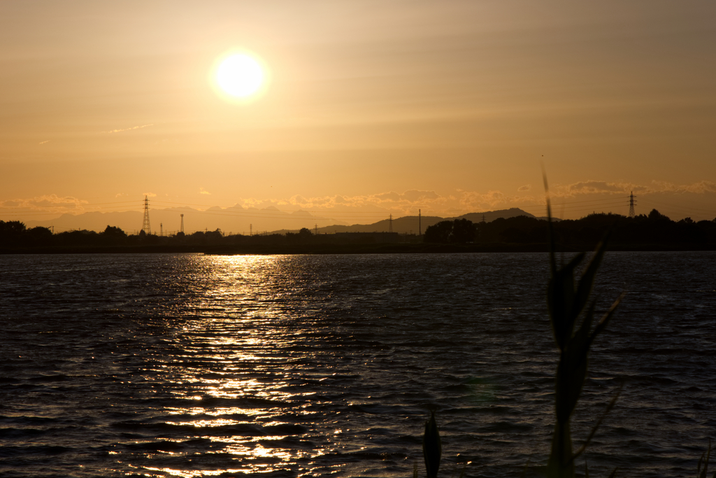 沼夕日