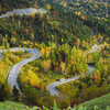 峠道の紅葉