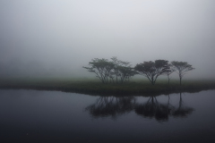 濃霧の覚満淵