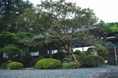 桐生山鳳仙寺