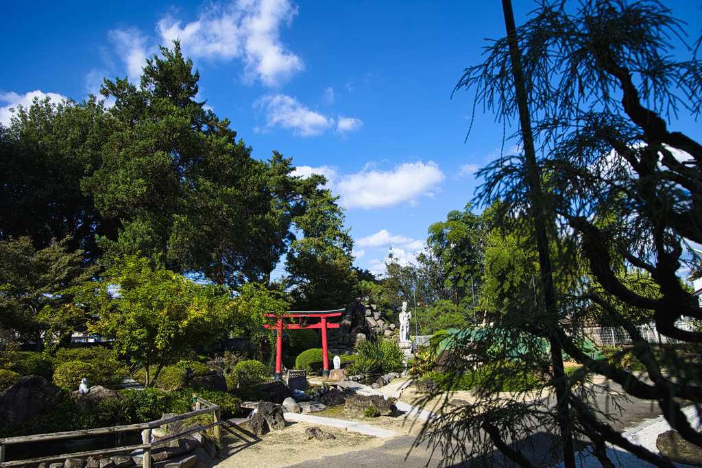 お寺の裏庭