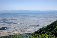 越後平野田植え前