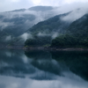 さくら湖の雨霧