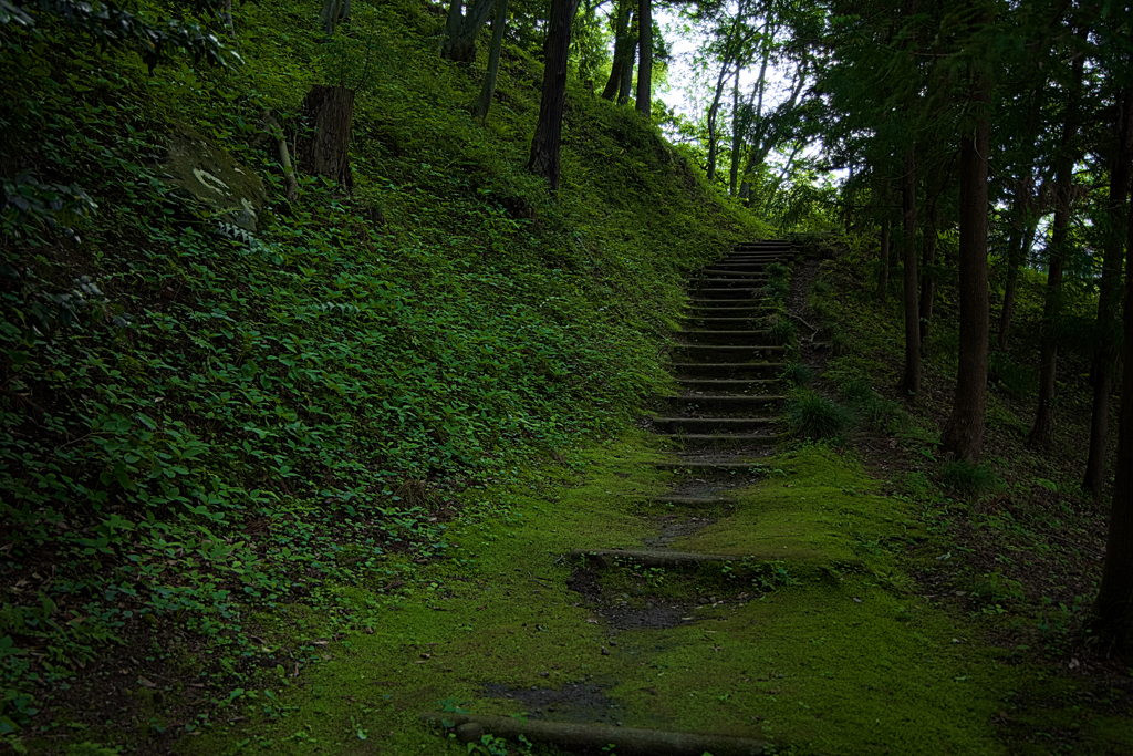少林山達磨寺