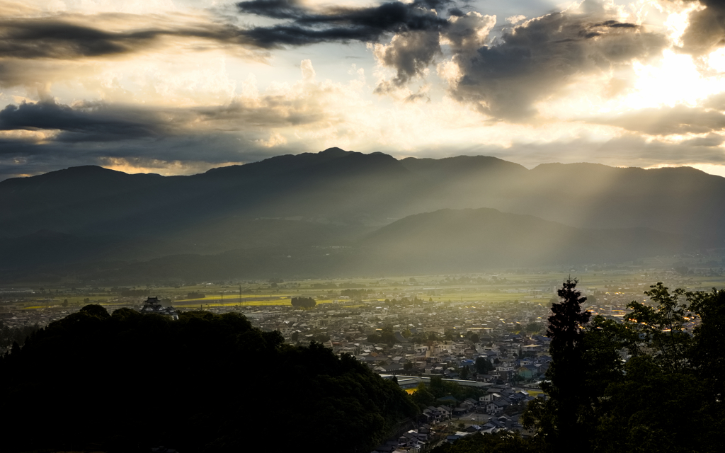 夏の大野の朝