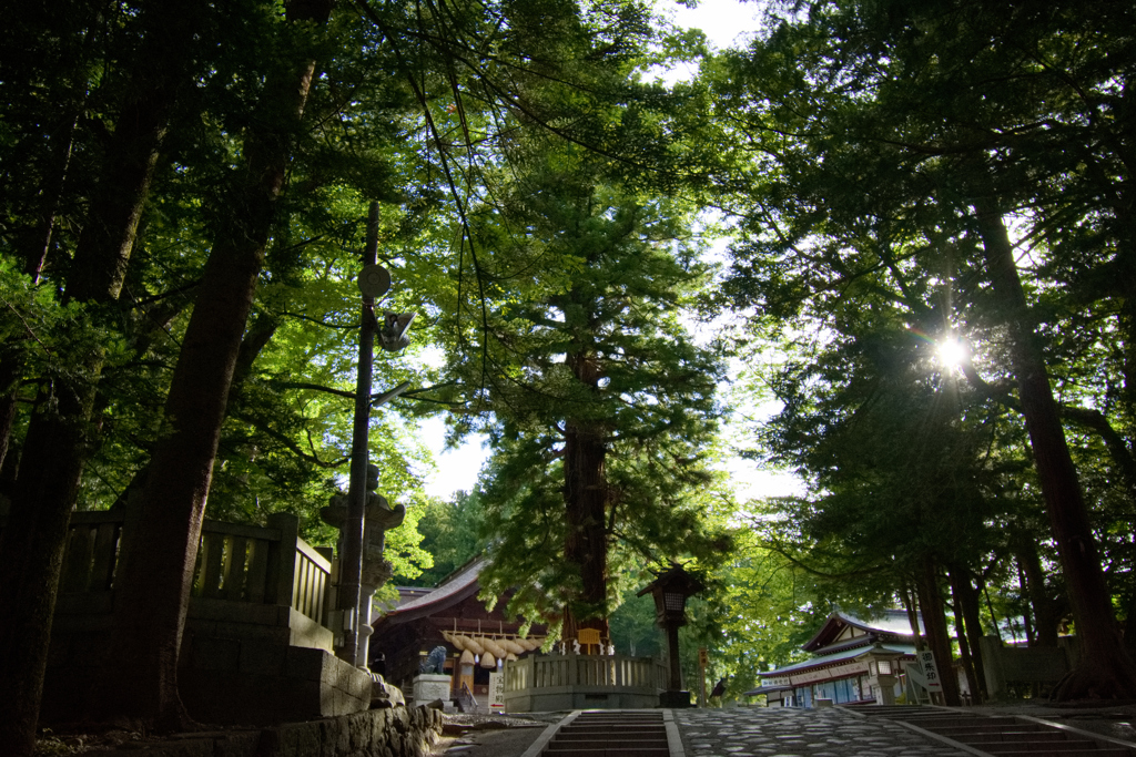 早朝の参拝