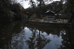 神社の池