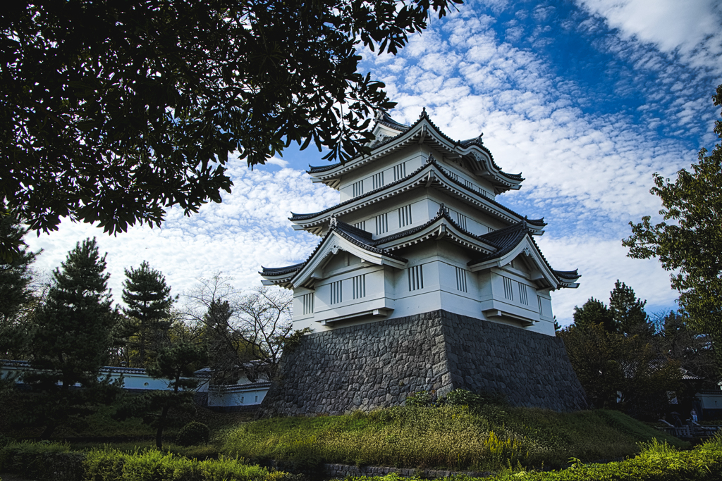 のぼうの城