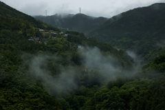 雨霧