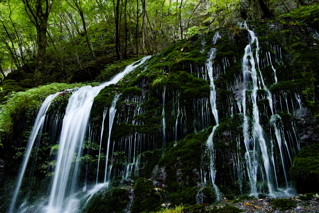 白水の滝