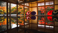 桐生 宝徳寺の床モミジ