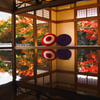 桐生 宝徳寺の床モミジ