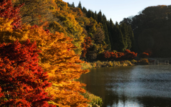 紅葉な湖畔