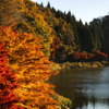 紅葉な湖畔