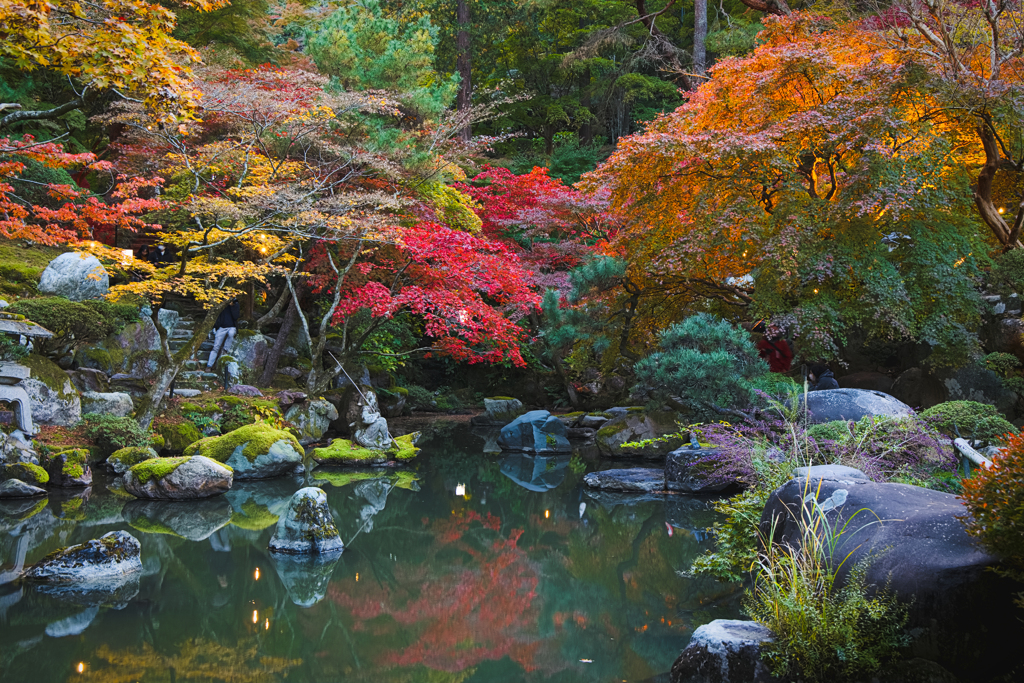 池付き庭園