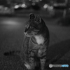 見つめる先に
