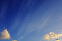 秋の空