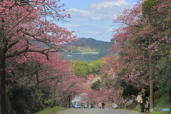 華やかな風景