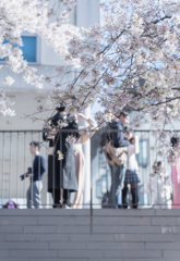 桜色