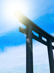 大神神社の鳥居さん