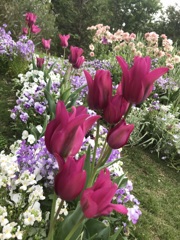 4/28-1