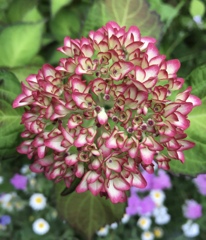 5/16