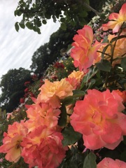 5/18-4