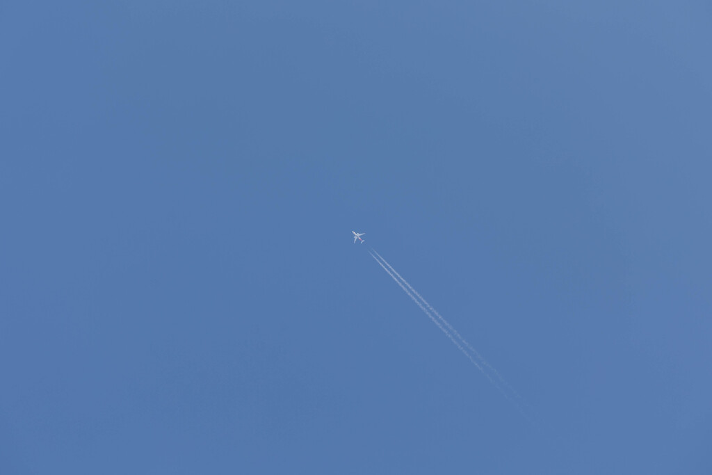 冬の空